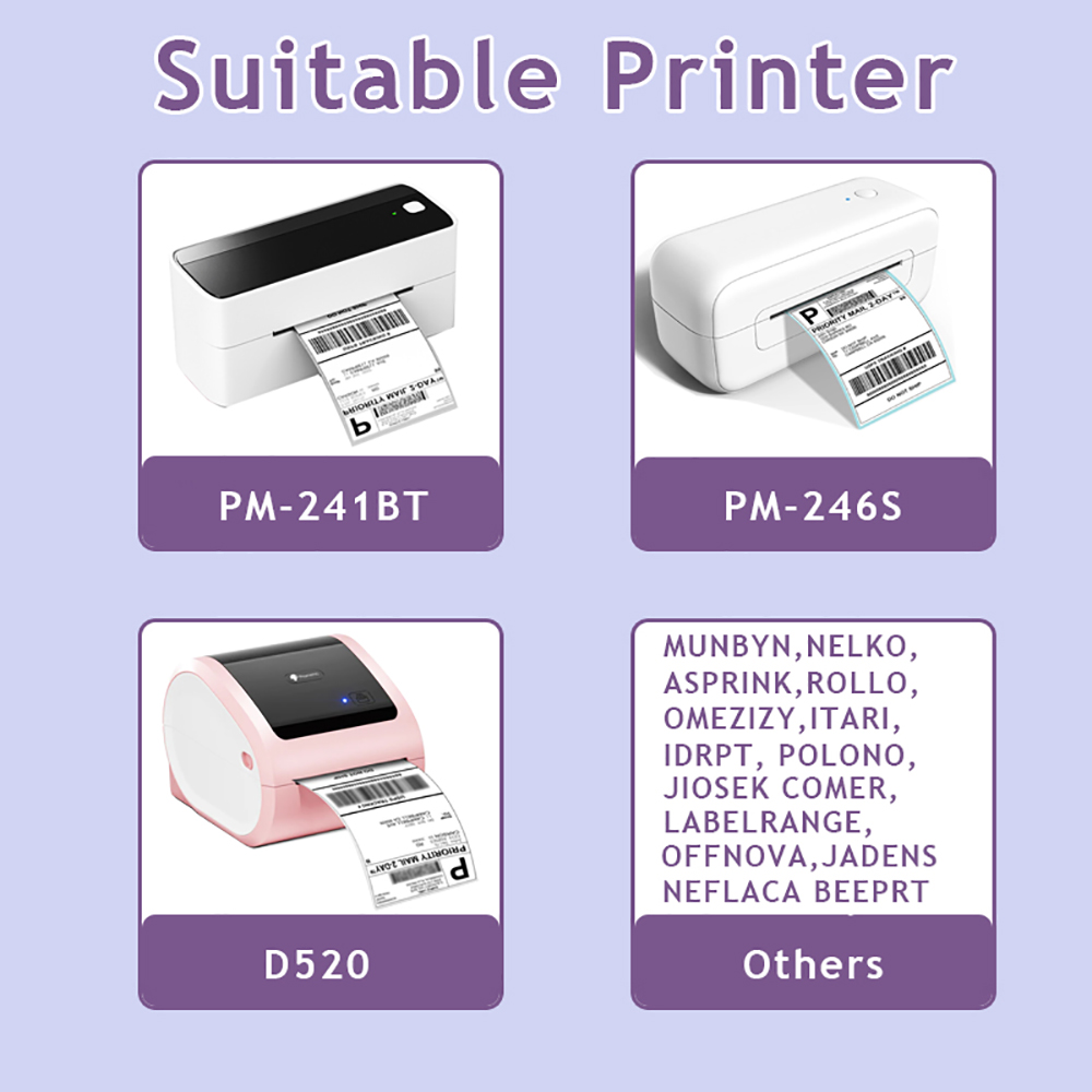 MUNBYN/Nelko 2 Inch Holographi - Industrial Laser Printer 评论和价格